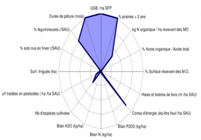 shéma diagramme Pascal Avignon