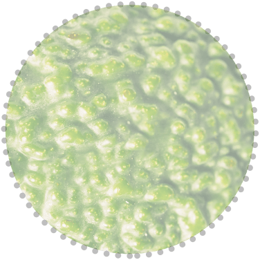 h1-slide3-layer1.png