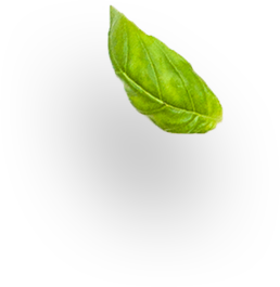 slider-layer4.png