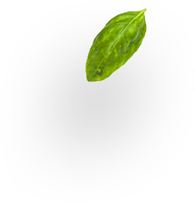 slider-layer7.png