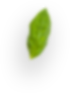 slider-layer8.png