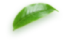 h3-layer2.png