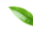 h6-slider-layer3.png