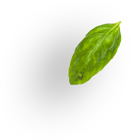 landing-layer3.png